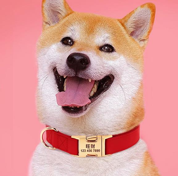 Premium luxury Metal Buckle Dog Collar, Durable Adjustable Dog Collar Soft for Small Medium Large Dogs UDC series  - 副本