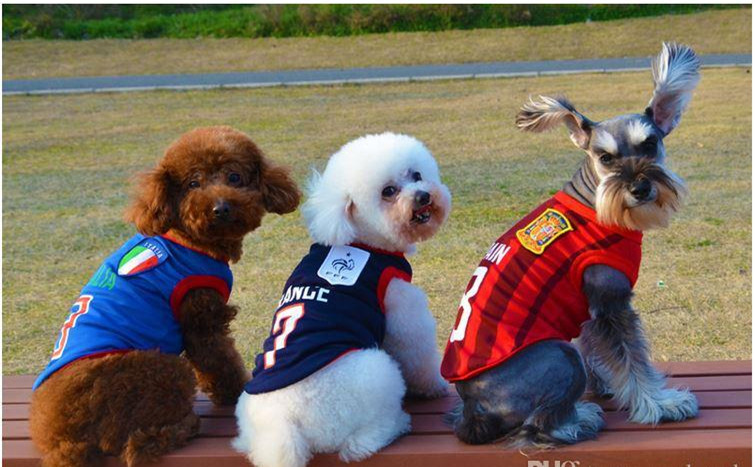 dog clothes of 2018 world cup