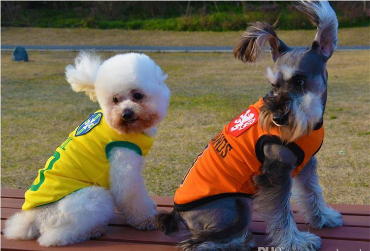 dog clothes of 2018 world cup