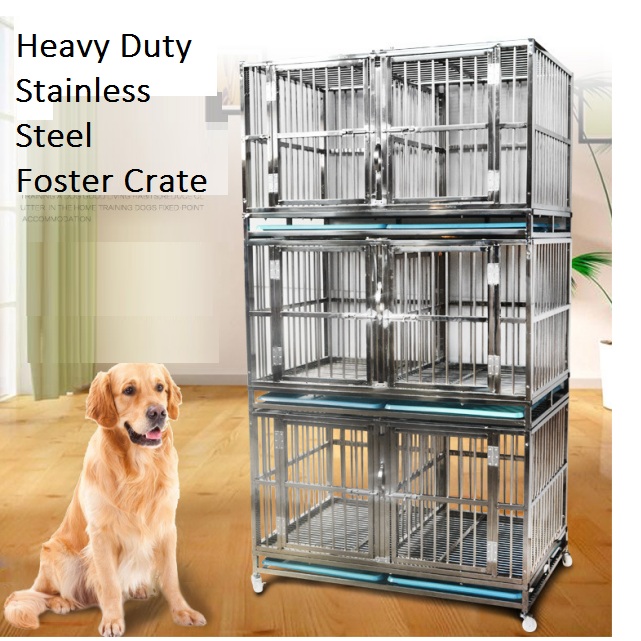 Foster cage for medium large dog  170109