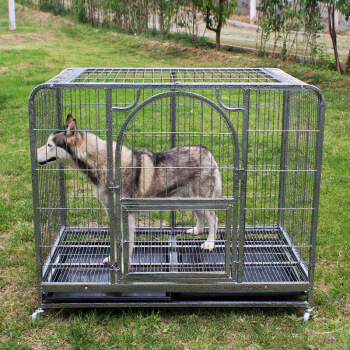 Classical dog cage  170101