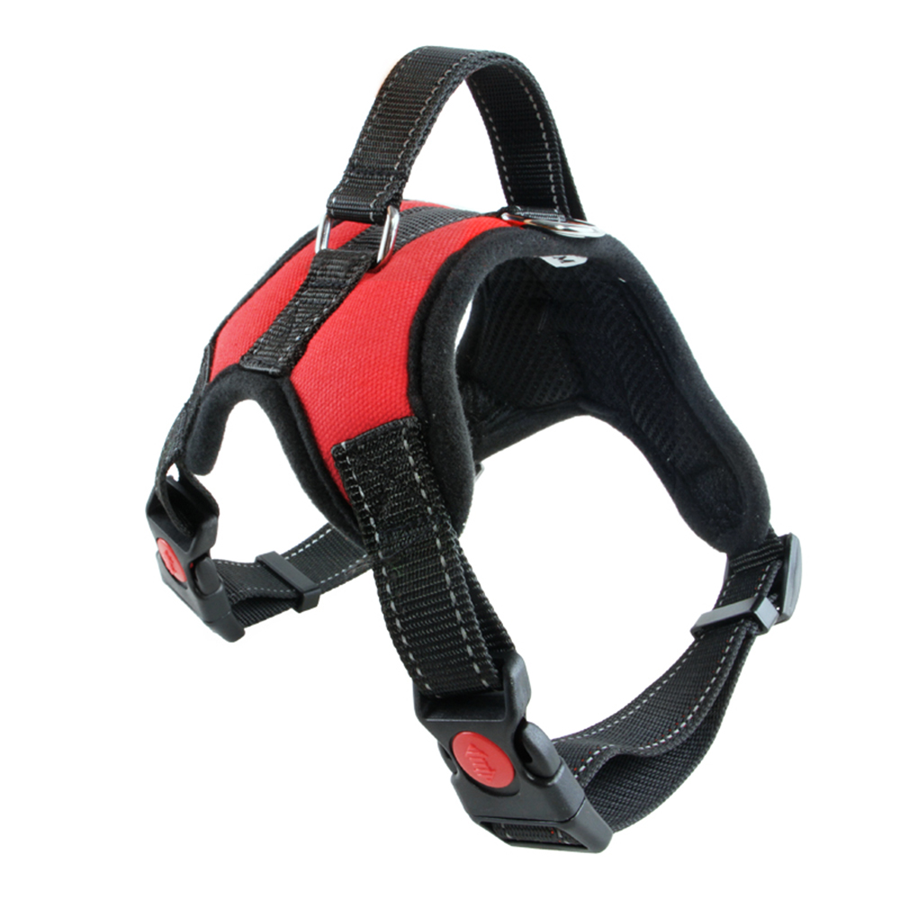 170110 Safety Dog Harness S/M/L/XL