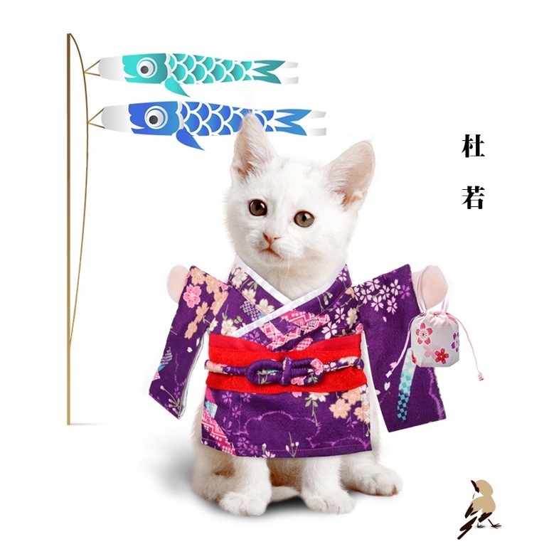 Cat's upright kimono