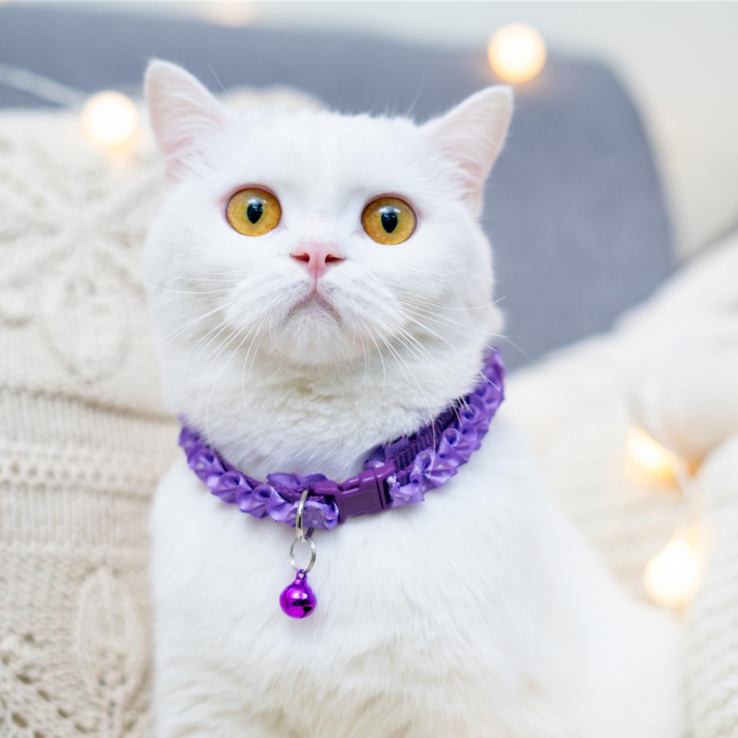 Plain lace cat collar with ring bell